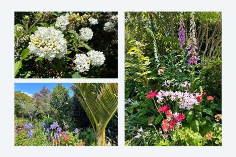 Photo of property in 641 Thornton Road, Thornton, Whakatane, 3194