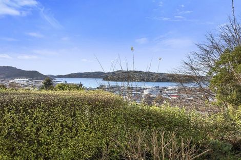Photo of property in 148 Maitland Street, Dunedin Central, Dunedin, 9016