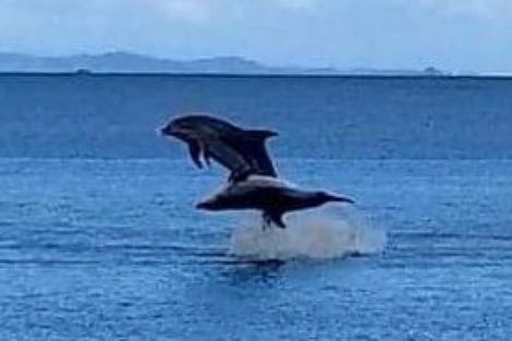 Photo of property in 818 Thames Coast Sh25 Road, Tapu, Thames, 3575