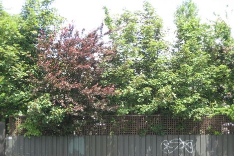 Photo of property in 14 Shirley Road, Mairehau, Christchurch, 8013