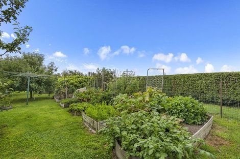 Photo of property in 63 Dunn Road, Ruawai, 0592