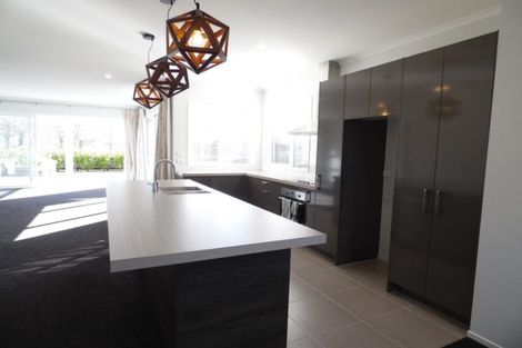 Photo of property in 9 Liquidambar Drive, Hobsonville, Auckland, 0616