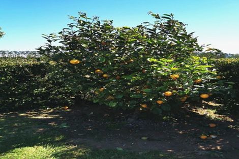 Photo of property in 277 Smart Road, Hillsborough, New Plymouth, 4372