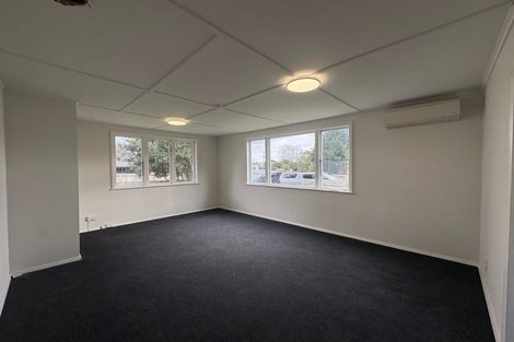Photo of property in 162a Salisbury Street, Ashhurst, 4810