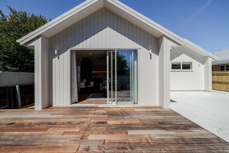 Photo of property in 43a Birmingham Street, Takaro, Palmerston North, 4412