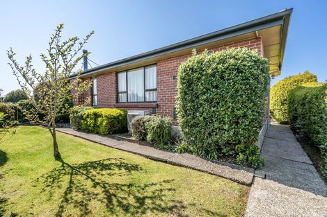 Photo of property in 77 Regent Street, Newfield, Invercargill, 9812
