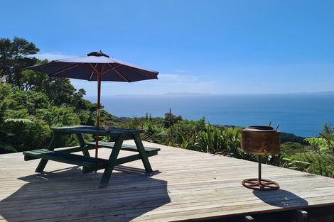 Photo of property in 525g Tuateawa Road, Tuateawa, Coromandel, 3583