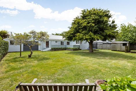 Photo of property in 66 Naylor Street, Hamilton East, Hamilton, 3216