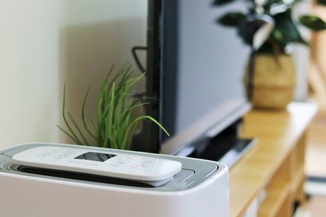 Photo of property in Krisley Court, 25/6 Ambrico Place, New Lynn, Auckland, 0600