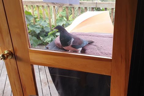 Photo of property in 62 Shakespeare Road, Bastia Hill, Whanganui, 4500