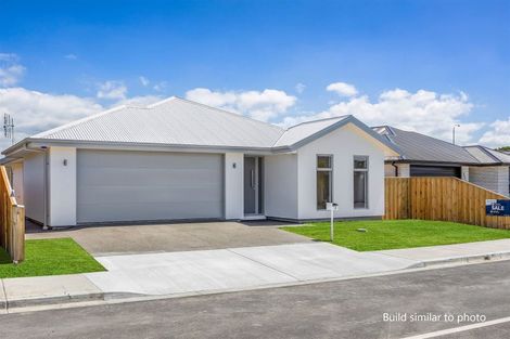 Photo of property in 4-8 Wilding Avenue, Marewa, Napier, 4110