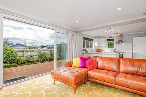 Photo of property in 51 Lincoln Street, Ashhurst, 4810