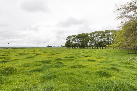 Photo of property in 1216 Rangiotu Road, Tiakitahuna, Palmerston North, 4477