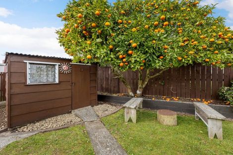 Photo of property in 4 Sandalwood Drive, Dinsdale, Hamilton, 3204