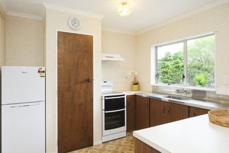 Photo of property in 11a Mccallum Street, Dannevirke, 4930