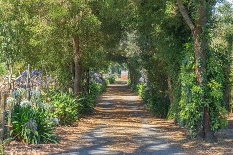 Photo of property in 358 Kimberley Road, Levin, 5571