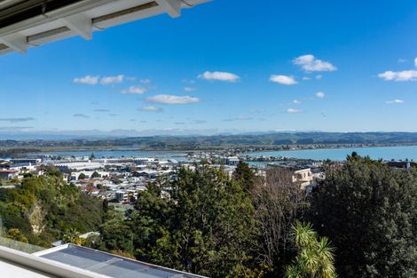 Photo of property in 22a Coleman Terrace, Hospital Hill, Napier, 4110