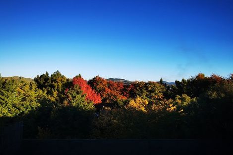 Photo of property in 50 Kimihia Road, Huntly, 3700