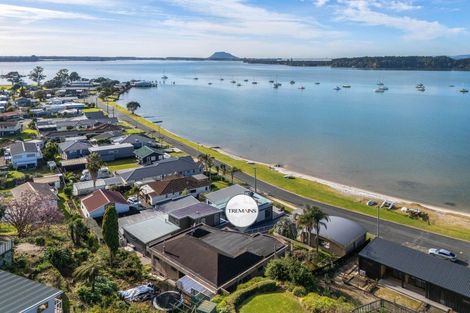 Photo of property in 48 The Esplanade, Omokoroa, 3114
