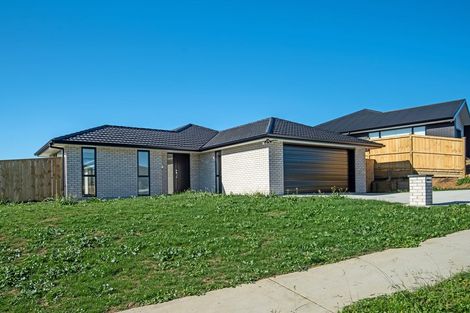 Photo of property in 101 Harriet Johnston Drive, Pokeno, 2402