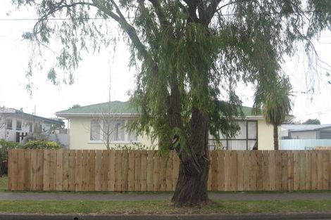 Photo of property in 12 Wordsworth Crescent, Maraenui, Napier, 4110
