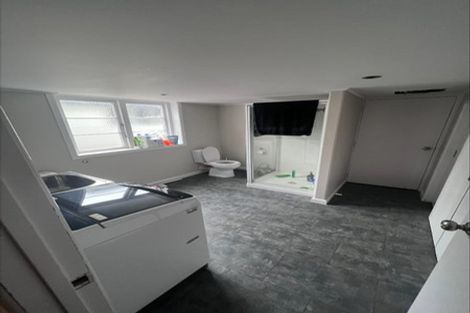 Photo of property in 20 Te Aroha Street, Hamilton East, Hamilton, 3216