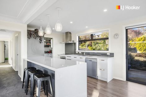 Photo of property in 175 Scott Street, Waverley, Dunedin, 9013