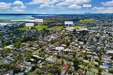 Photo of property in 41 Wairau Avenue, Avondale, Auckland, 1026