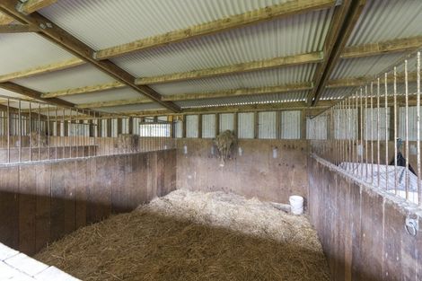 Photo of property in 237 Ngaio Road, Halcombe, Palmerston North, 4479