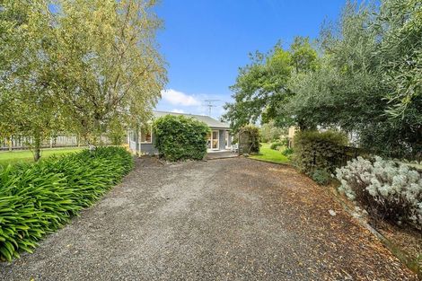 Photo of property in 8 Malcolm Street, Martinborough, 5711