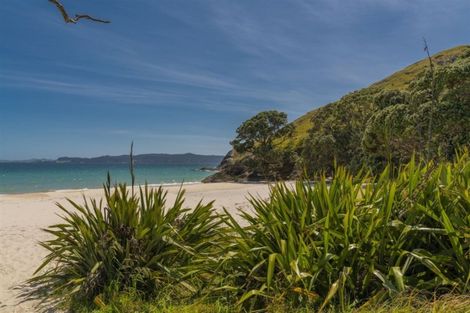 Photo of property in 36 Otama Beach Road, Opito Bay, Whitianga, 3592