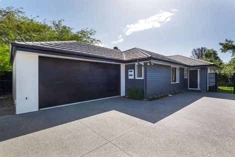 Photo of property in 211a Springfield Road, St Albans, Christchurch, 8014