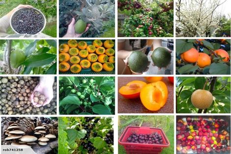 Photo of property in 55 Grey Street, Feilding, 4702