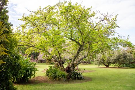 Photo of property in 24 Mission Road, Kerikeri, 0230