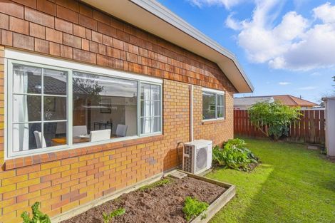 Photo of property in 3 Surrey Lane, Levin, 5510