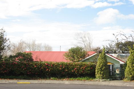 Photo of property in 14 Horne Street, Hurdon, New Plymouth, 4310