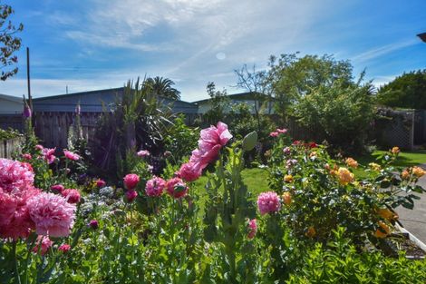 Photo of property in 24 Rexwood Street, Carterton, 5713