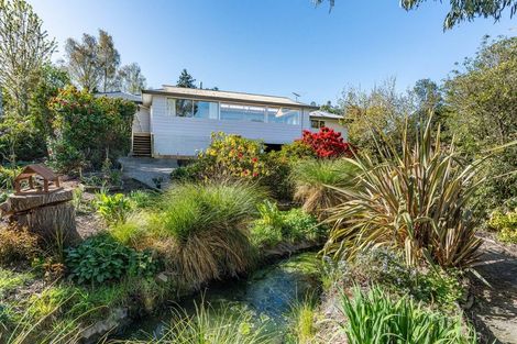 Photo of property in 45a Mcfadden Drive, Mosgiel, 9024