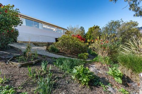 Photo of property in 45a Mcfadden Drive, Mosgiel, 9024