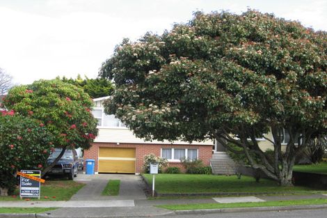 Photo of property in 6 Kennedy Drive, Levin, 5510