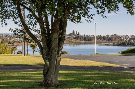 Photo of property in 78b Sixth Avenue, Tauranga, 3110