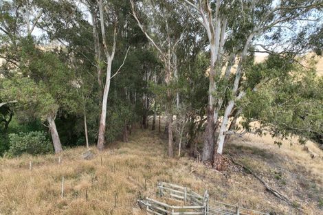 Photo of property in 599c Longbush Road, Hinakura, Masterton, 5884