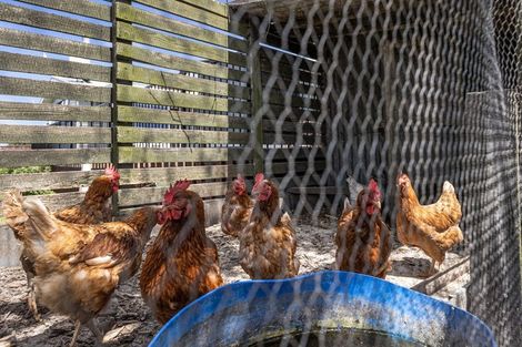 Photo of property in 99 Hallett Road, Otakiri, Whakatane, 3192