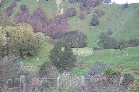 Photo of property in 1266 Ruakituri Road, Ruakituri, 4195