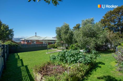 Photo of property in 19 Cuba Street, Calton Hill, Dunedin, 9012