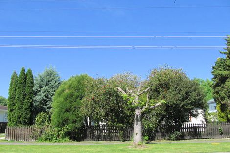 Photo of property in 33 Mary Street, Mangapapa, Gisborne, 4010