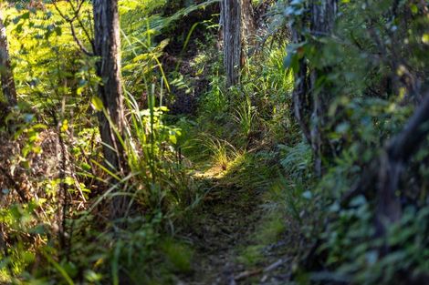 Photo of property in 180 Tokongawa Drive, Kaiteriteri, Motueka, 7197