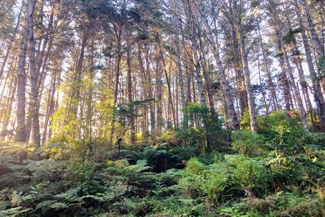 Photo of property in 99 Paranui Road, Taipa, Kaitaia, 0483