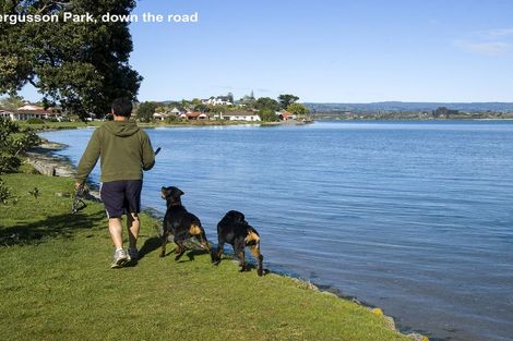 Photo of property in 19b Tilby Drive, Matua, Tauranga, 3110