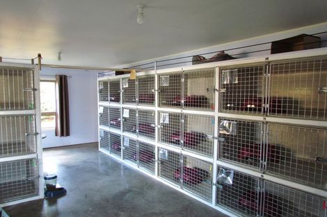 Photo of property in 25 Vivian Street, Solway, Masterton, 5810